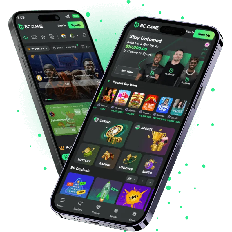 official mobile app of the bc.game casino